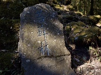 图集 |秘境传说——哀牢山之金山原始森林