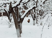 图集 | 鼠年到，会泽水城梨园的一番雪景