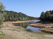 图集｜遇见满山花 邂逅磨盘山