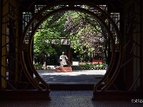 图集 | 昙华寺公园恢复开放 赏花晒太阳