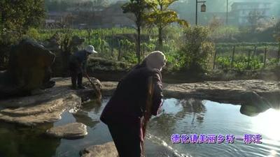 阳春三月 宁洱春花碧水惹人醉