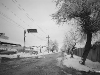 图集 | 鼠年到，会泽水城梨园的一番雪景