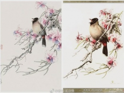 艺术圈再出大事！拍出299万的作品竟是抄袭云南知名植物科学画家曾孝濂？