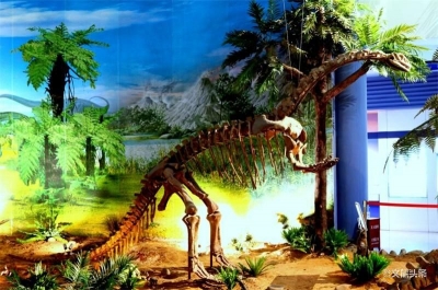 玉溪市博物馆开启“云看展”  首期古生物展上线引关注