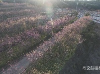 图集｜遇见满山花 邂逅磨盘山