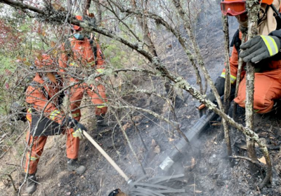 防火形势严峻！云南多地发布蓝色大风预警