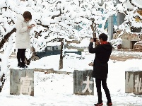图集 | 鼠年到，会泽水城梨园的一番雪景