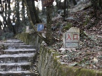 图集 |秘境传说——哀牢山之金山原始森林