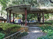 图集 | 昙华寺公园恢复开放 赏花晒太阳