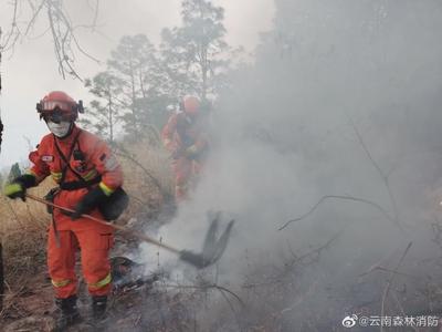 防火形势严峻！云南多地发布蓝色大风预警