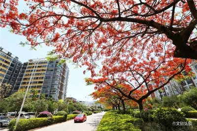 普洱市积极打造“健康生活目的地”