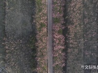图集｜遇见满山花 邂逅磨盘山
