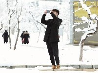 图集 | 鼠年到，会泽水城梨园的一番雪景