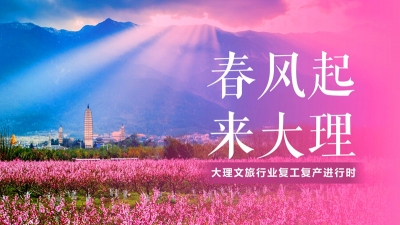 大理旅行社按下“复工键”  带省内游客领略苍洱好春光