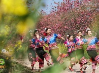 图集｜遇见满山花 邂逅磨盘山