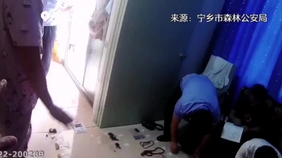 视频｜一张快递单，牵出涉野生动物大案！