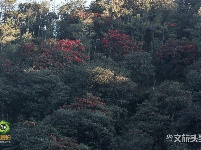 图集｜遇见满山花 邂逅磨盘山