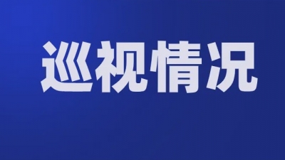 十届云南省委第九轮巡视情况反馈全部完成