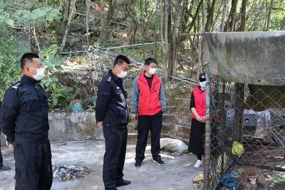 丽江永胜东片派出所扎实开展打击野生动物非法贸易专项行动