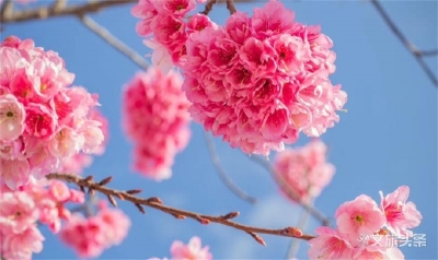 3月16日起，磨盘山国家森林公园对新平本地居民免票！