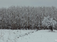 图集 | 鼠年到，会泽水城梨园的一番雪景