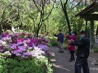 图集 | 昙华寺公园恢复开放 赏花晒太阳