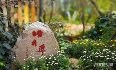 温泉企业复工前如何准备？玉溪映月潭温泉总经理刘峙汶线上直播分享心得