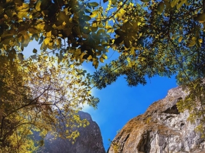 好消息！大理苍山石门关景区3月28日恢复开放