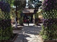 图集 | 昙华寺公园恢复开放 赏花晒太阳