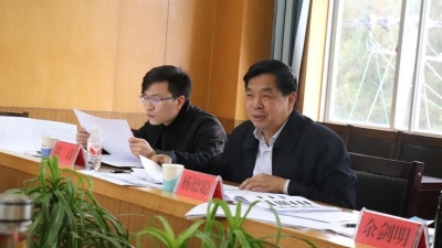云南省文旅厅指导组实地指导大理州重点文旅项目建设