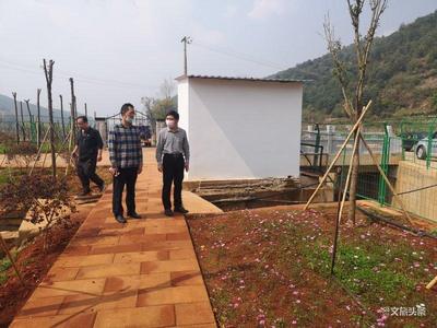 玉溪市文化和旅游局到河长制联系河段进行巡查