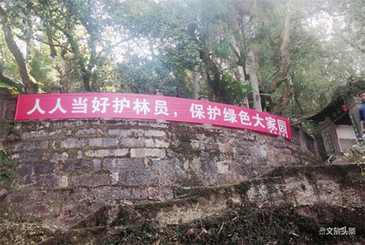 通海秀山公园：严防死守筑牢森林防火安全网