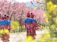 图集｜遇见满山花 邂逅磨盘山