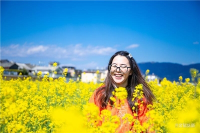 在苍山洱海间邂逅油菜花，大理这波美图又上热搜了！