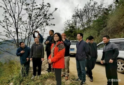昭通市文旅局到龙坪村调研宜游宜养美丽乡村建设