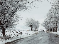 图集 | 鼠年到，会泽水城梨园的一番雪景