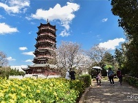 图集 | 昙华寺公园恢复开放 赏花晒太阳