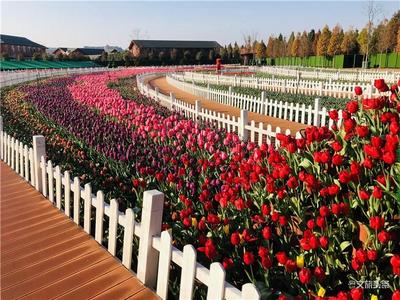 春暖花开 捞鱼河湿地公园恢复开放 全年所有花展对医护人员免票