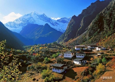 【云游迪庆】香格里拉·草之景