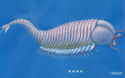 玉溪市博物馆开启“云看展”  首期古生物展上线引关注