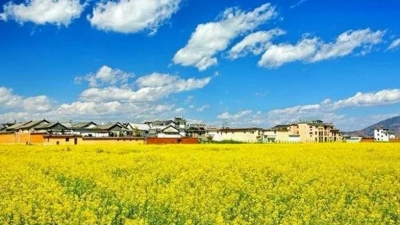 大理喜洲古镇面向低风险地区游客开放