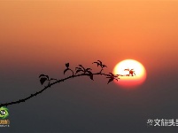 图集｜遇见满山花 邂逅磨盘山