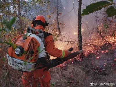 防火形势严峻！云南多地发布蓝色大风预警