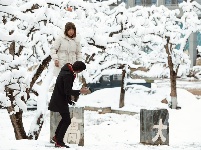 图集 | 鼠年到，会泽水城梨园的一番雪景