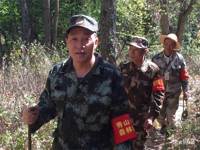 通海秀山公园：严防死守筑牢森林防火安全网