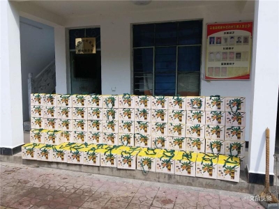 【战疫中的最美文旅人】助果农售2.5吨枇杷 关键时期李金锋扶贫战疫两不误