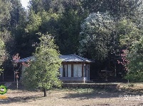 图集｜遇见满山花 邂逅磨盘山