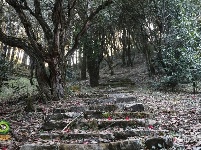 图集｜遇见满山花 邂逅磨盘山