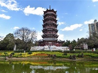 图集 | 昙华寺公园恢复开放 赏花晒太阳