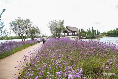 七彩云南·欢乐世界3月7日起对外开放